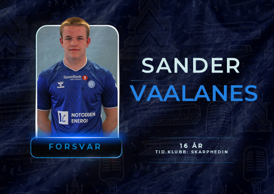 Sander Vaalanes